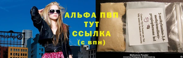 прущие грибы Дмитровск