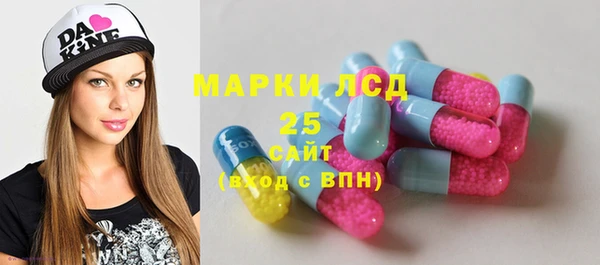 прущие грибы Дмитровск