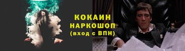 сатива Гусиноозёрск