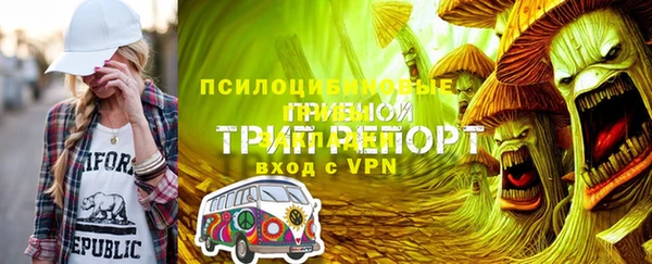 сатива Гусиноозёрск