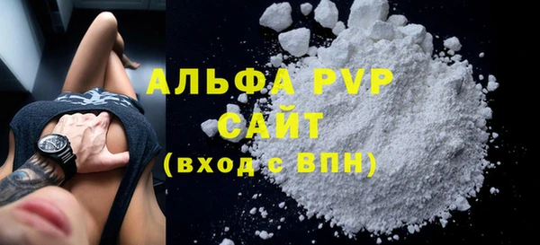 стаф Дмитров